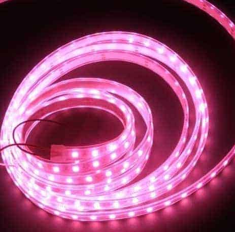 Illuminazione-vetrina-Giro-dItalia