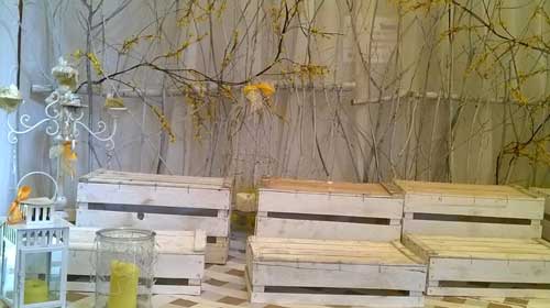 idee-vetrine-festa-della-donna-1