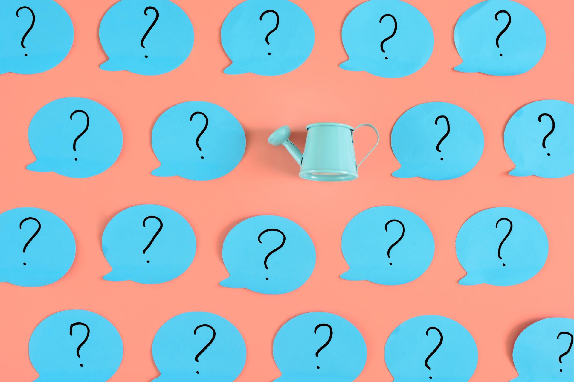 Materiale per l’allestimento delle vetrine: Dove trovarlo?