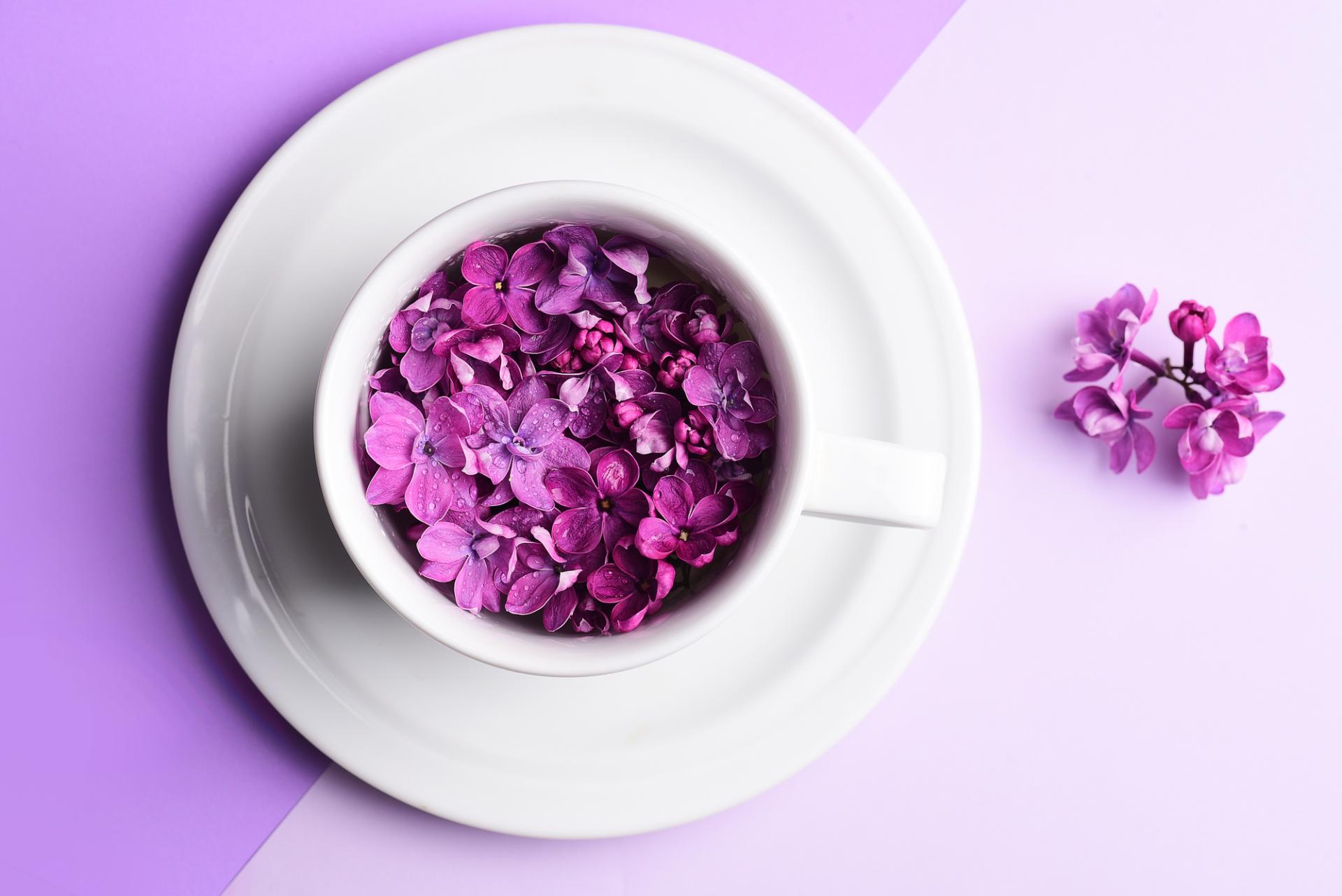 Come allestire una vetrina di fiori. I 2 ingredienti indispensabili.