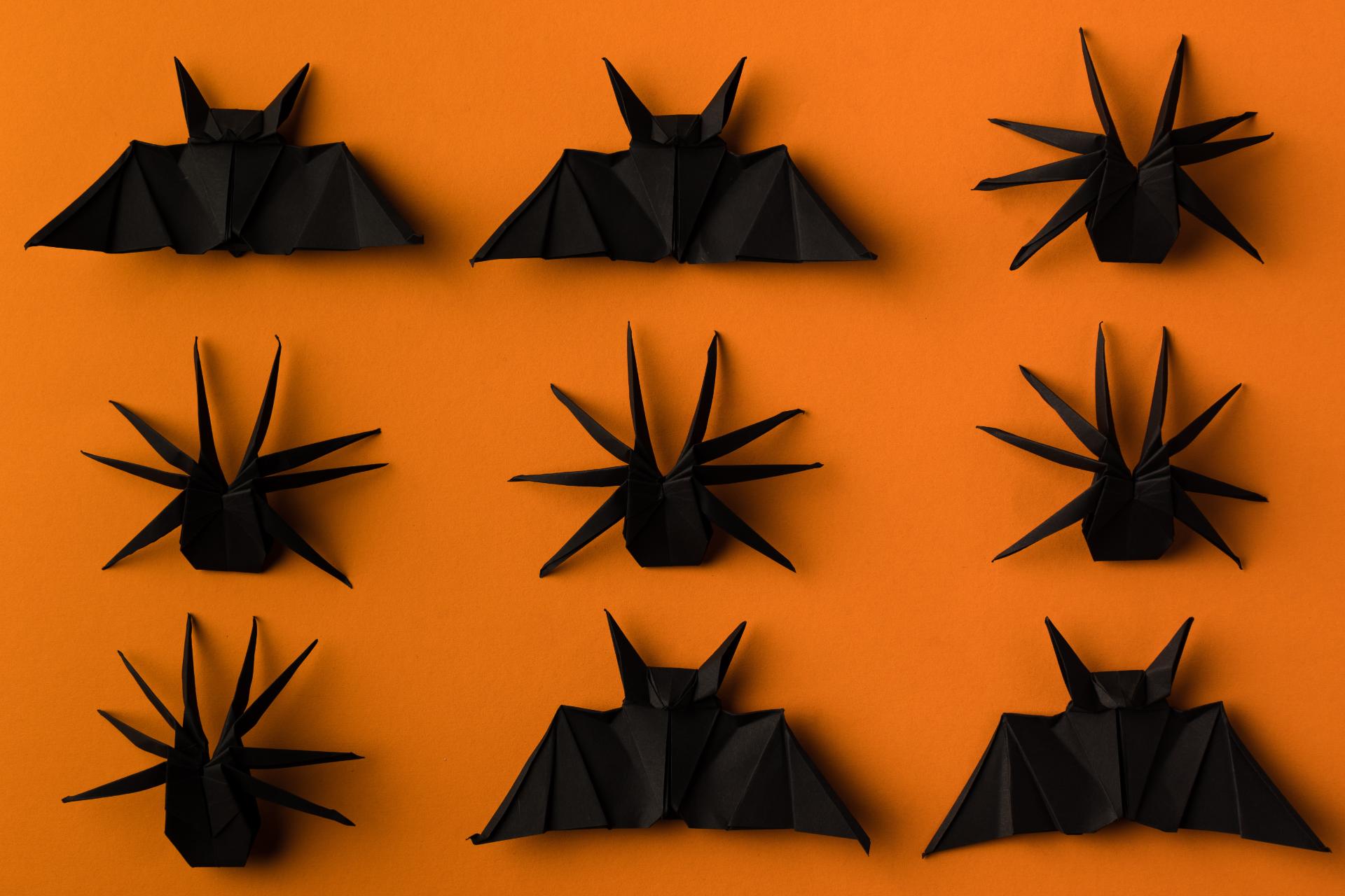Allestimento Vetrine Halloween… Idee da Paura!